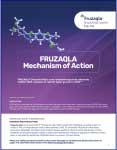 FRUZAQLA® Mechanism of Action Brochure.
